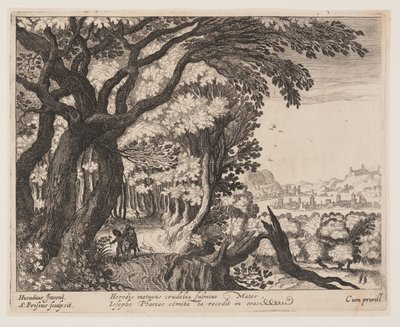 A fuga para o Egito, de Paisagens com cenas da vida de Cristo de Simon Frisius