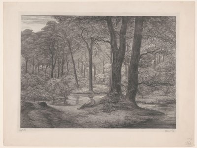 Floresta com lago e homem reclinável
Floresta de Teutoburg (cenário florestal) (título original) de Simon Moulijn (signed by artist)