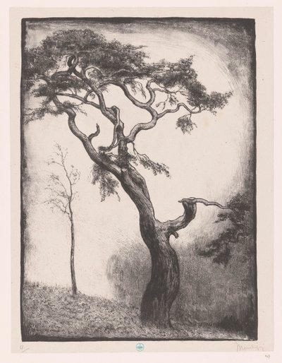 Pinheiro de Simon Moulijn (signed by artist)