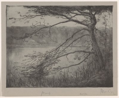 Ven em Oisterwijk de Simon Moulijn (signed by artist)