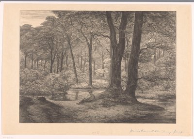 Vista dos Hunnenschans no Veluwe O Hunnenschang (título original) de Simon Moulijn