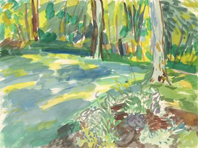 Jardim e zona húmida, 2018 (aguarela sobre papel) de Simon Neville