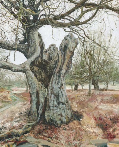 Árvore velha, Richmond Park, 2018 (óleo sobre linho) de Simon Neville