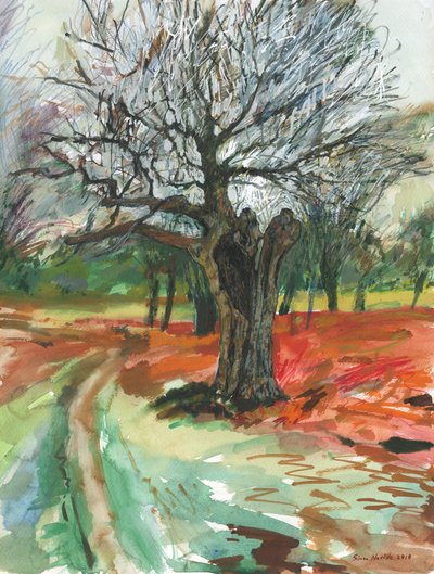 Árvore velha, Richmond Park, 2019 (lápis aguarela e marcador de tinta acrílica sobre papel) de Simon Neville