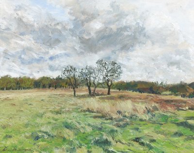 Richmond Park (óleo sobre tela) de Simon Neville