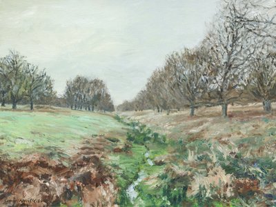 Richmond Park (óleo sobre linho) de Simon Neville