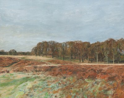 Richmond Park, 2019 (óleo sobre tela) de Simon Neville