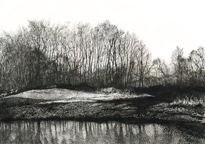 Bétula, praia de Burying Hill (tinta sobre papel) de Simon Neville