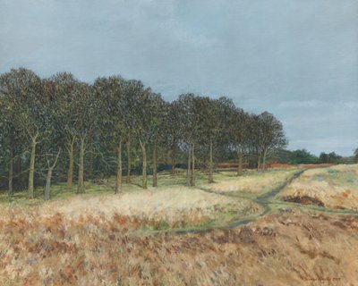 Bosque, Richmond Park, 2019 (óleo sobre tela) de Simon Neville