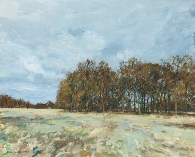 Bosque, Richmond Park, 2019 (óleo sobre painel) de Simon Neville