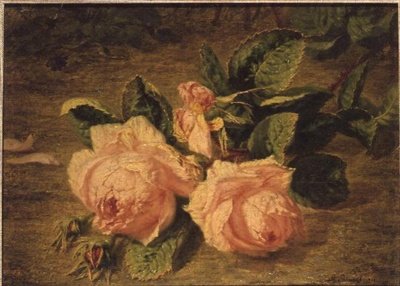 Rosas Rosa de Simon Saint-Jean
