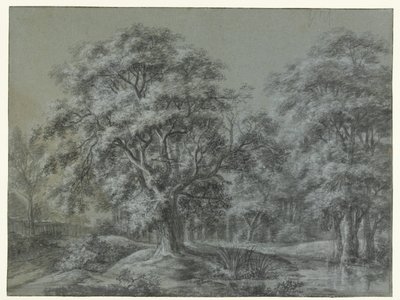 Paisagem florestal com água de Simon de Vlieger