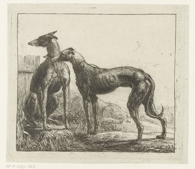 Dois galgos Animais diferentes (título da série) Kite Bugs (título da série) de Simon de Vlieger