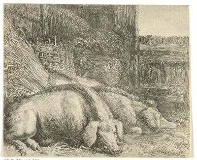 Dois porcos
Vários animais (título da série)
Abelhas do papagaio (título da série) de Simon de Vlieger