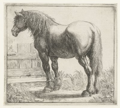 Cavalo de carga em uma cerca Animais diferentes (título da série) Kite Bugs (título da série) de Simon de Vlieger