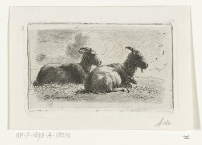 Duas cabras reclináveis de Simon van den Berg