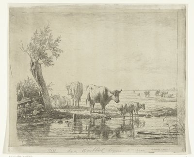 Paisagem de pastagem com vacas perto da água de Simon van den Berg