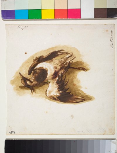 O Lapidar Morto (desenho) de Sinibaldo Scorza