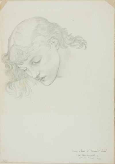 Cabeça, Estudo para Espelho de Vênus de Sir Edward Burne Jones