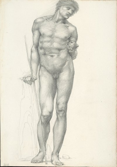 Paris com a Maçã Dourada na Mão Esquerda, para o Tríptico de Tróia (sketchbook #2638) de Sir Edward Burne Jones