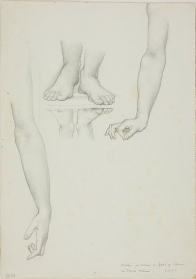 Estudo para Espelho de Vênus: Braços e Pés de Vênus de Sir Edward Burne Jones