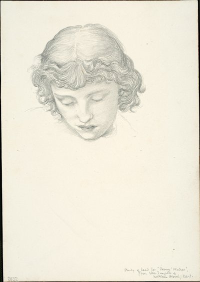 Estudo para o Espelho de Vénus: Cabeça de Sir Edward Burne Jones