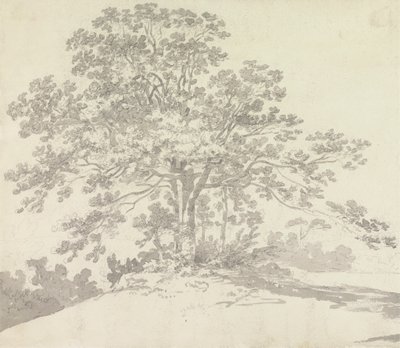 Árvore de Sir George Howland Beaumont seventh Baronet