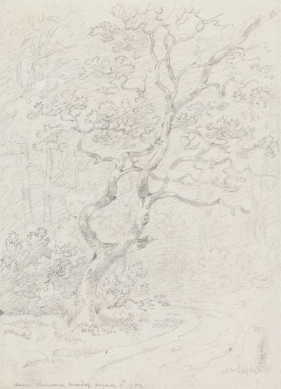 Árvores, perto de Lausanne de Sir George Howland Beaumont seventh Baronet