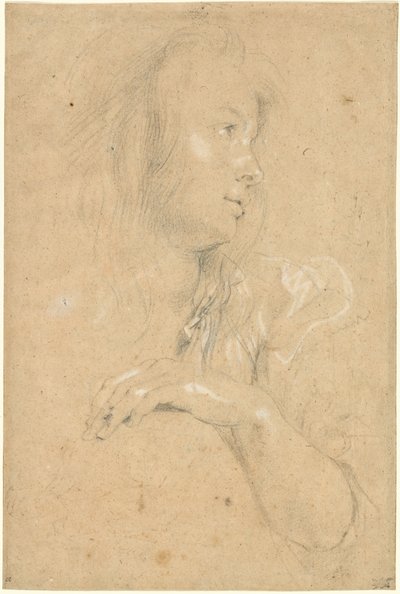 Jovem de perfil de Sir Peter Paul Rubens