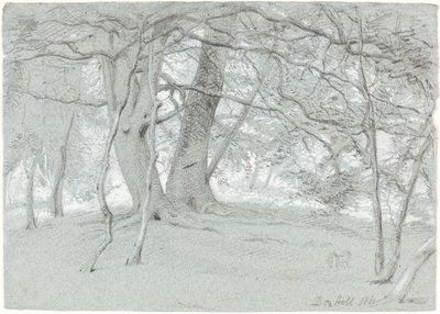 Árvores em Box Hill de Sir William Blake Richmond
