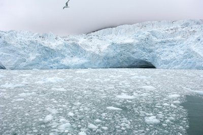 Pedaços de gelo de glaciares próximos flutuam no mar Ártico, Ilhas Svalbard, Noruega, 2022 (foto) de Sisse Brimberg