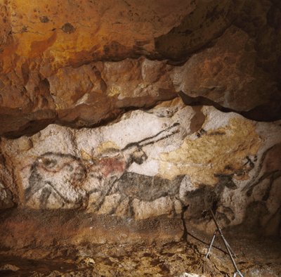 O Unicórnio Mítico de Lascaux pintado há mais de 17.000 anos reveste a calcite branca... de Sisse Brimberg