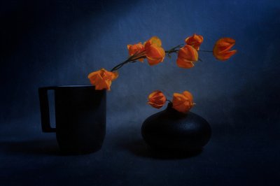 Natureza morta com lanternas de outono de Siyu_Wei APA