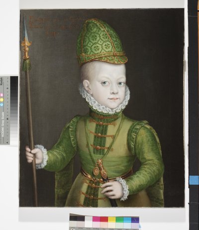 Retrato de um menino na corte espanhola, c.1565-70 de Sofonisba Anguissola