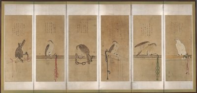 Hawks amarrados, antes de 1606. de Soga Chokuan
