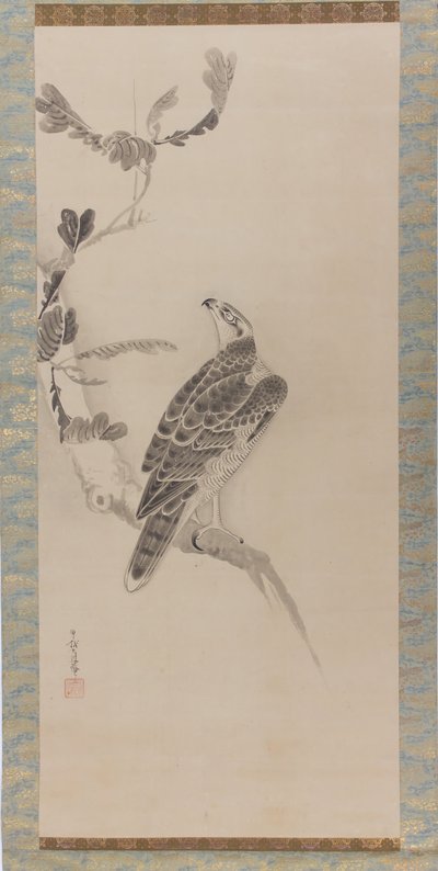 Hawks Taka zu, meados do século XVII. de Soga Nichokuan