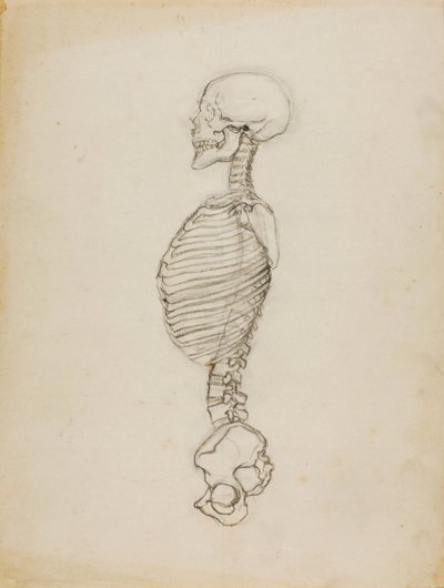 Anatomia de Solon H. Borglum