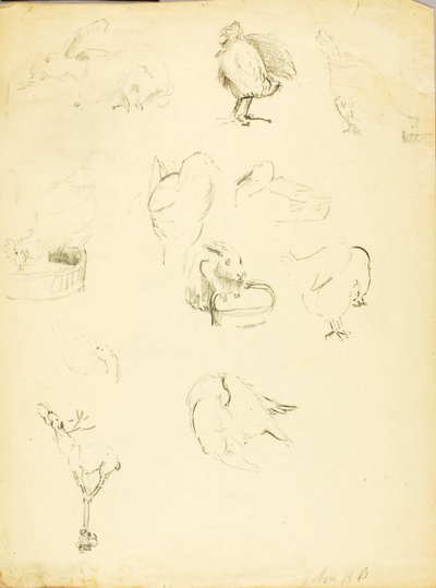 Estudos com animais de Solon H. Borglum