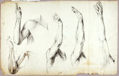 Estudos de Braços, #2 de Solon H. Borglum