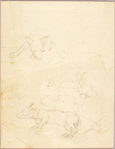 Cães de Solon H. Borglum