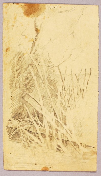 Folhagem de Solon H. Borglum
