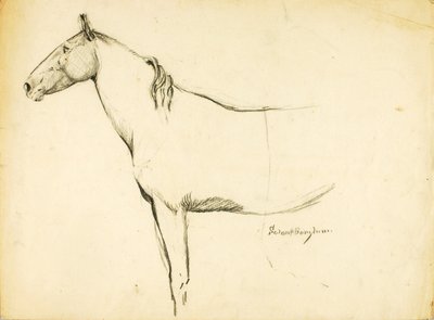 Cavalo de Solon H. Borglum