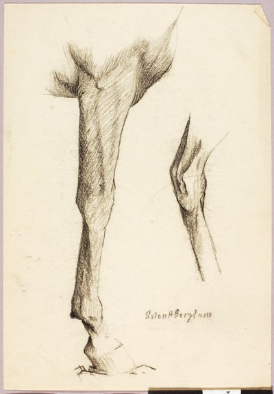 Estudo do cavalo de Solon H. Borglum
