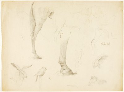 Estudo de cavalos e coelhos de Solon H. Borglum