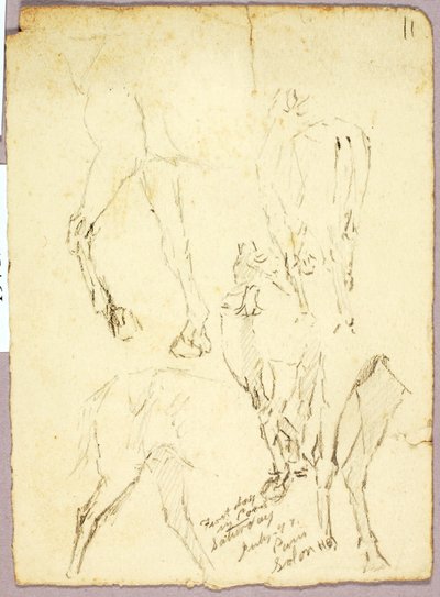 Cavalos de Solon H. Borglum