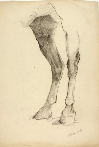 Perna de cavalo de Solon H. Borglum
