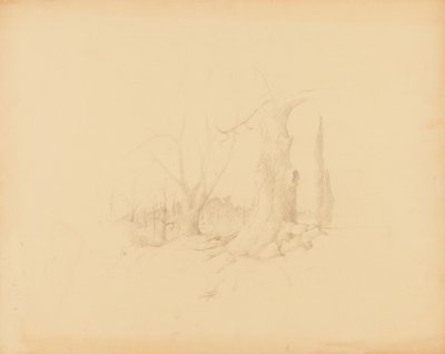 Paisagem de Solon H. Borglum
