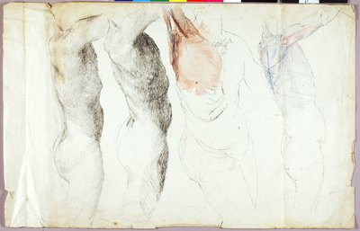 Estudos de nu de Solon H. Borglum