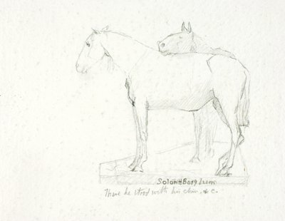 Neve de Solon H. Borglum