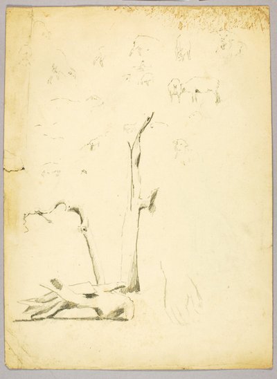Troncos de árvores e ovelhas de Solon H. Borglum
